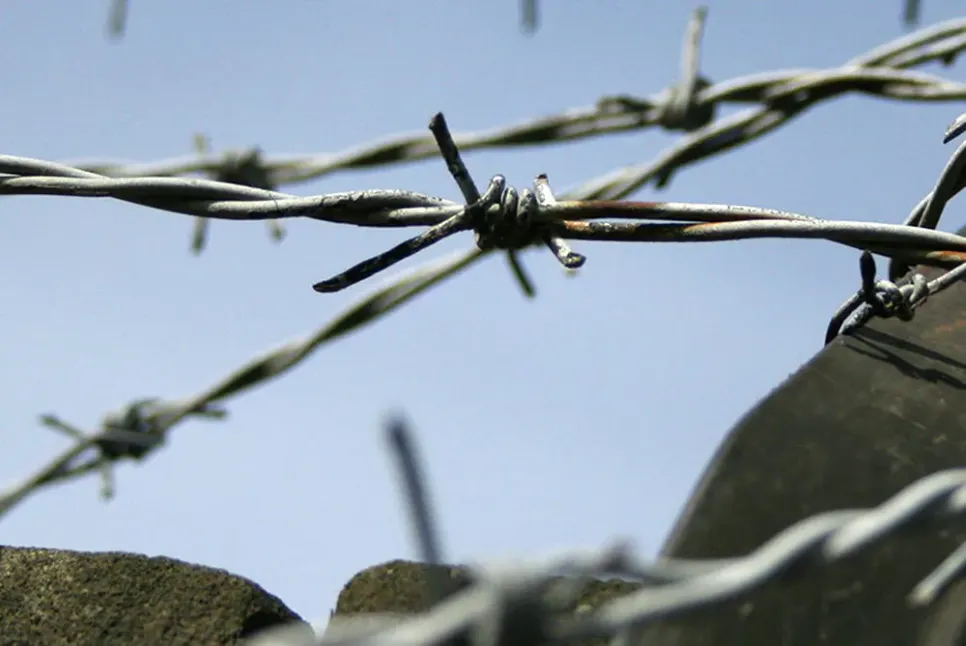 Further development of barbed wire